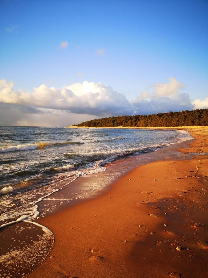 Metsaraeaegu Wellness Villa Ulendi Екстериор снимка