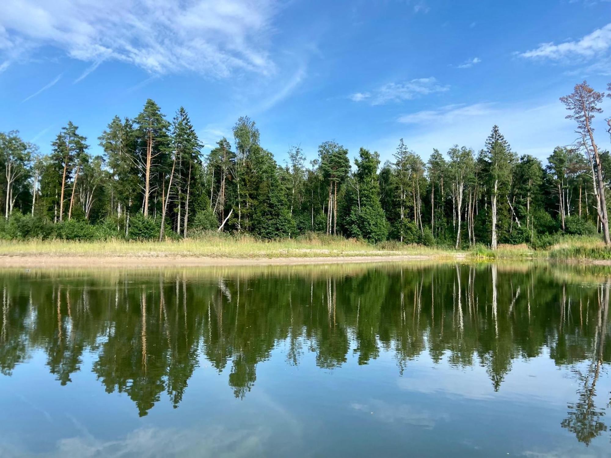 Metsaraeaegu Wellness Villa Ulendi Екстериор снимка